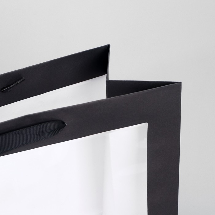 Пакет подарочный крафтовый с пластиковым окном, упаковка, &laquo;Burn to be wild&raquo;, 31 х 26 х 11 см