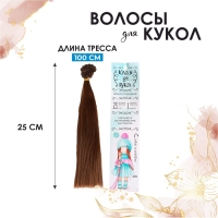 Волосы - тресс для кукол &laquo;Прямые&raquo; длина волос: 25 см, ширина:100 см, цвет № 6