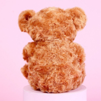 Мягкая игрушка «Ты лучше всех», медведь, цвета МИКС Мягкая игрушка «Ты лучше всех», медведь, цвета МИКС