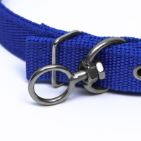 Ошейник двухслойный с вертлюгом, 55 х 2,5 см, полиэстер, синий