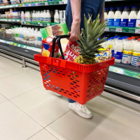 Корзина покупательская пластиковая, 20 л, 2 пластиковые ручки, цвет красный Корзина покупательская пластиковая, 20 л, 2 пластиковые ручки, цвет красный