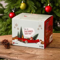 Компрессор автомобильный TORSO, Новый год, серия Торнадо, 35 л/мин Компрессор автомобильный TORSO, Новый год, серия Торнадо, 35 л/мин