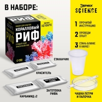 Набор для опытов «Коралловый риф» Набор для опытов «Коралловый риф»