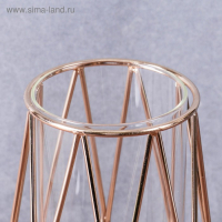 Ваза-флорариум "Ангстрем" фигурная, 10х21 см, золото