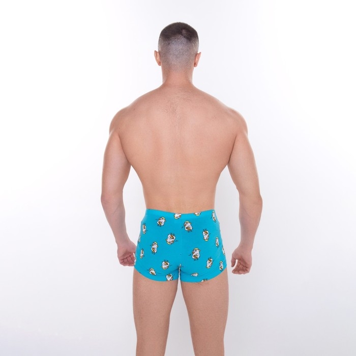 Трусы мужские боксеры «Гуси», цвет голубой, размер 48 (M) Трусы мужские боксеры «Гуси», цвет голубой, размер 48 (M)