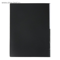 Папка с 40 вкладышами Calligrata А4, 400мкм, МИКС