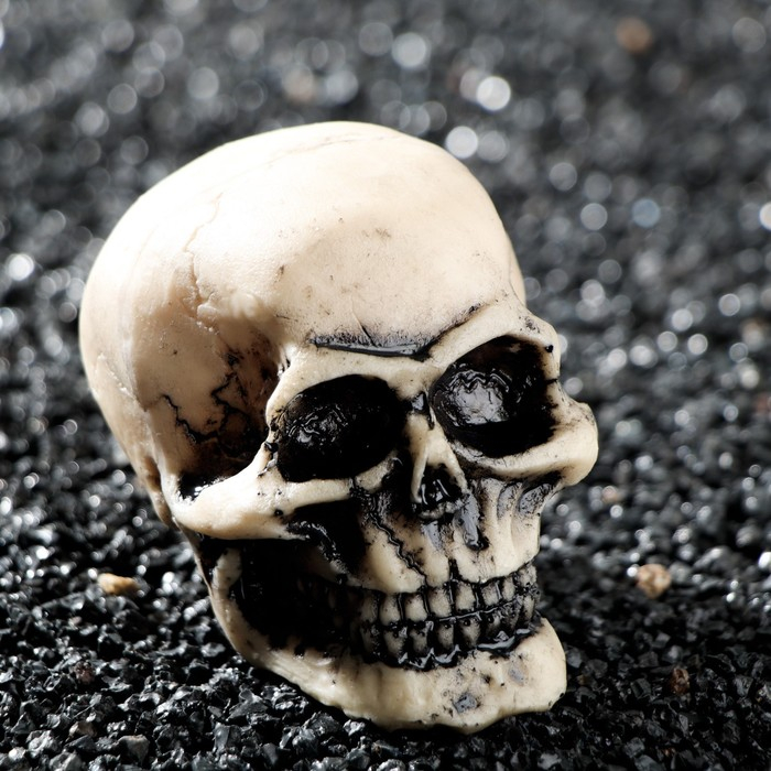 Декор для аквариума Декор для аквариума "Череп", 9 х 6 х 6 см