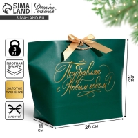 Пакет подарочный новогодний &laquo;My congratters&raquo;, 26 х 25 х 11 см, Новый год