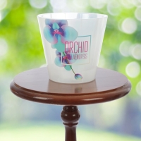 Кашпо для орхидей &laquo;Фиджи&raquo;, 1,6 л, дизайн МИКС