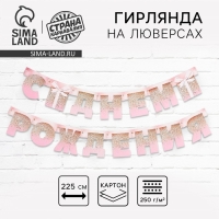 Гирлянда на люверсах &laquo;С Днем Рождения&raquo;, розовая с подарком, длина 225 см