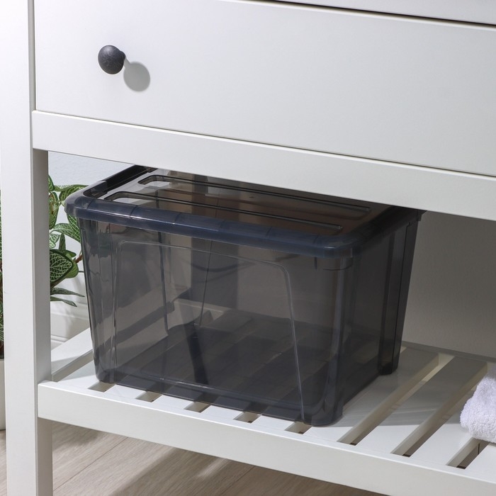 Контейнер для хранения с крышкой &laquo;Кип&raquo;, 15,5 л, 37,5&times;28,5&times;23 см, цвет чёрный прозрачный