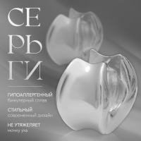 Серьги металл &laquo;Аккорд&raquo; круг вогнутый, цвет серебро