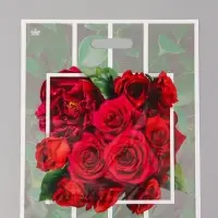 Пакет подарочный Розарий  45 х 38 см 55 мкм