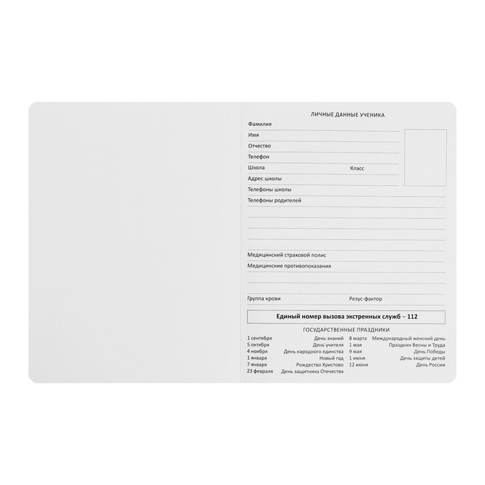 Дневник универсальный для 1-11 класса "Начинается", интегральная обложка, искусственная кожа, шелкография, ляссе, 80 г/м2