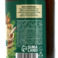 Подарочный набор БАННЫЙ ДУХ &laquo;С лёгким паром&raquo;, настой для бани, 3х250 мл, Новый Год