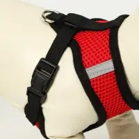 Комплект амуниции с мягкой шлейкой и светоотражающей нашивкой, M, ОШ 26, ОГ 36-44, красный