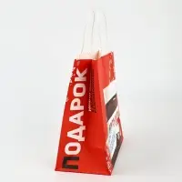 Набор пакетов крафтовых &laquo;Новогодний праздник&raquo;