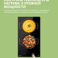 Индукционная варочная панель CIH311, 2 конфорки, зона flex