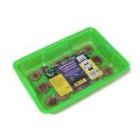 Мини-парник для рассады: торфяная таблетка d = 4,2 см (18 шт.), парник 36 × 25 см, зелёный Мини-парник для рассады: торфяная таблетка d = 4,2 см (18 шт.), парник 36 × 25 см, зелёный