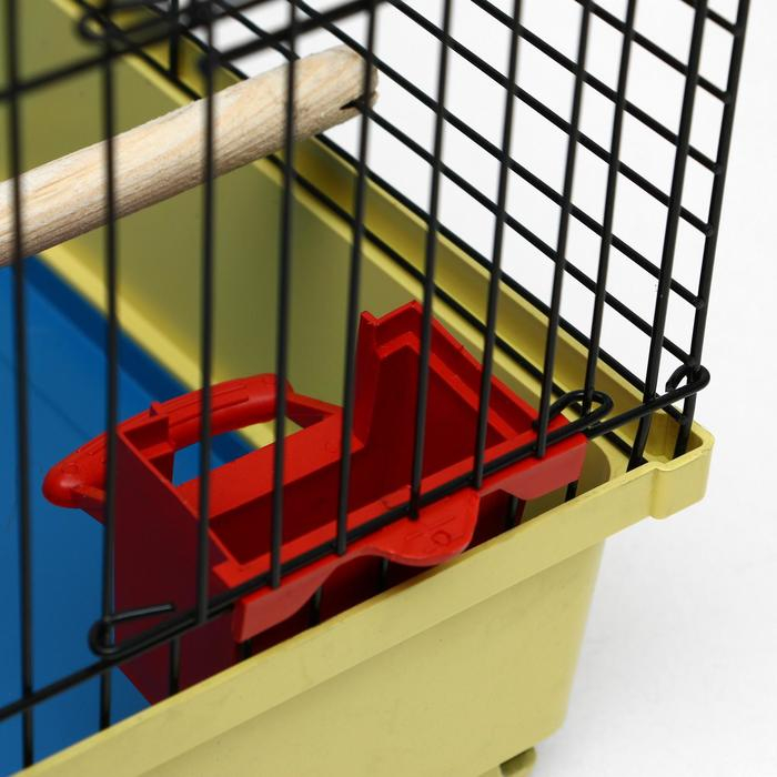 Клетка для птиц Клетка для птиц "Грация", 49 х 36 х 37 см, микс цветов