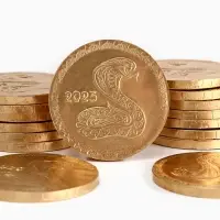 Шоколадная медаль &laquo;Змейка&raquo;, 24 г