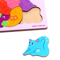 Головоломка &laquo;Найди фрагмент&raquo;, котята