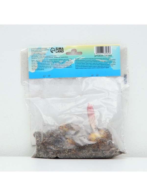 Лилия гибридная &laquo;Конка Дор&raquo;, луковица в пакете с перфорацией, р-р 14/16, 2 шт.