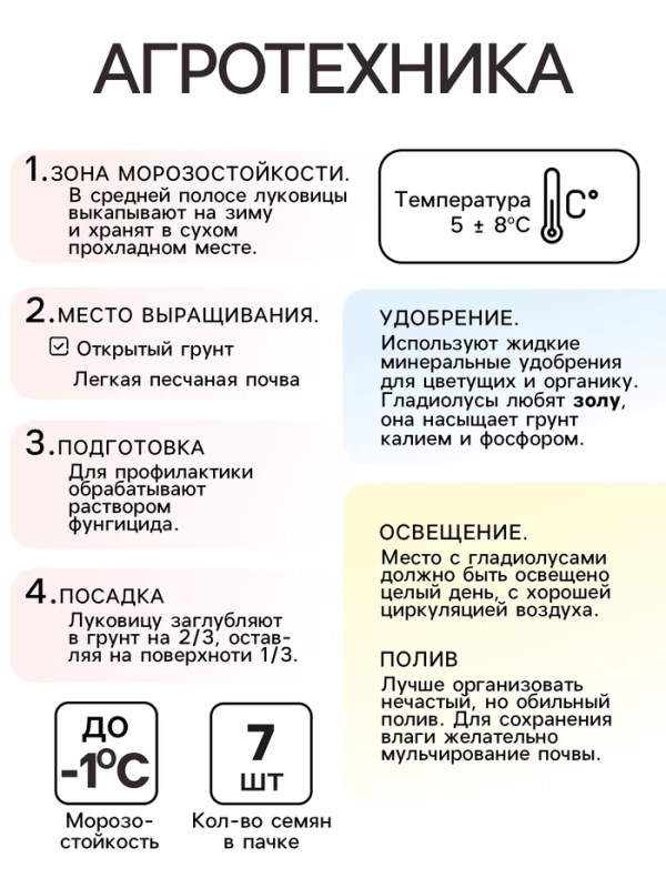 Гладиолус Низкорослый "Лас-Вегас", луковица цветов в пакете с перфорацией, р-р 10+, 7 шт.