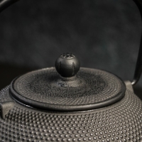 Чайник чугунный Magma &laquo;Восточная ночь&raquo;, 600 мл, с ситом, эмалированный внутри