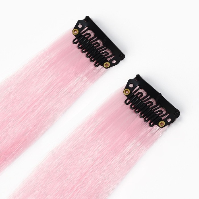 Заколка для волос, прядь &laquo;Нежный кусь&raquo;, 2 шт