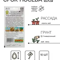 Семена Огурец "Корнишон-закусон F1", раннеспелый, пчелоопыляемый, 10 шт.