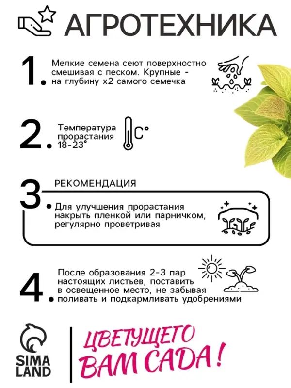 Семена цветов Колеус Визард Голден, 10шт