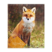 Комплект тетрадей из 4 штук, 96 листов в клетку Calligrata "Животные", обложка мелованный картон, блок №2, белизна 75% (серые листы)