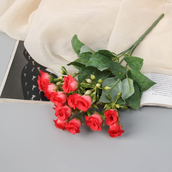 Букет Букет "Роза каскад" 26 см, микс