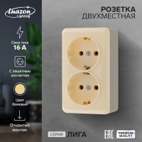 Розетка двухместная Luazon Lighting "Лига", 16 А, накладная, с з/к, бежевая Розетка двухместная Luazon Lighting "Лига", 16 А, накладная, с з/к, бежевая