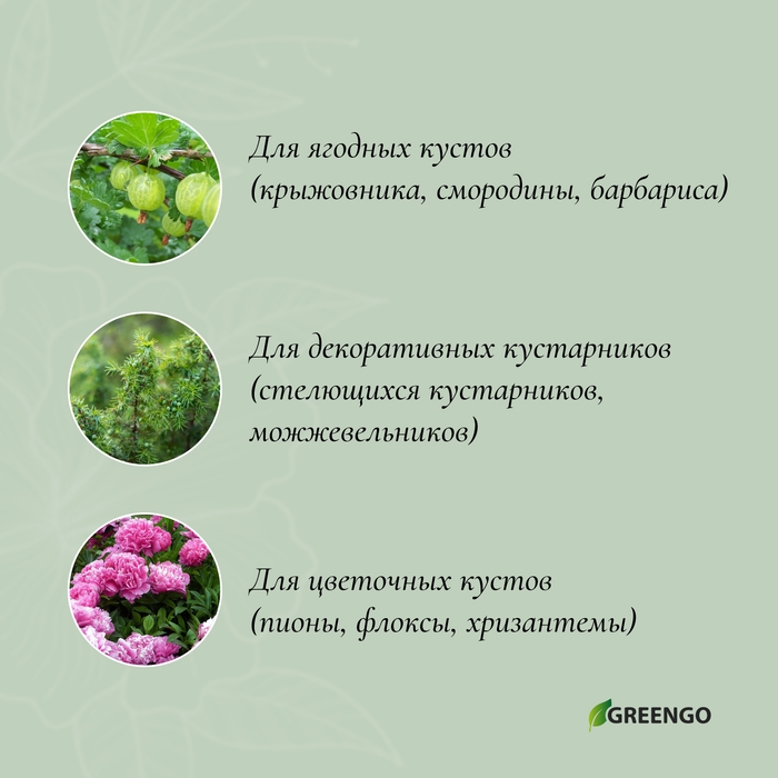 Кустодержатель, d = 30 см, h = 60 см, ножка d = 0,3 см, металл, набор 2 шт., зелёный, Greengo Кустодержатель, d = 30 см, h = 60 см, ножка d = 0,3 см, металл, набор 2 шт., зелёный, Greengo