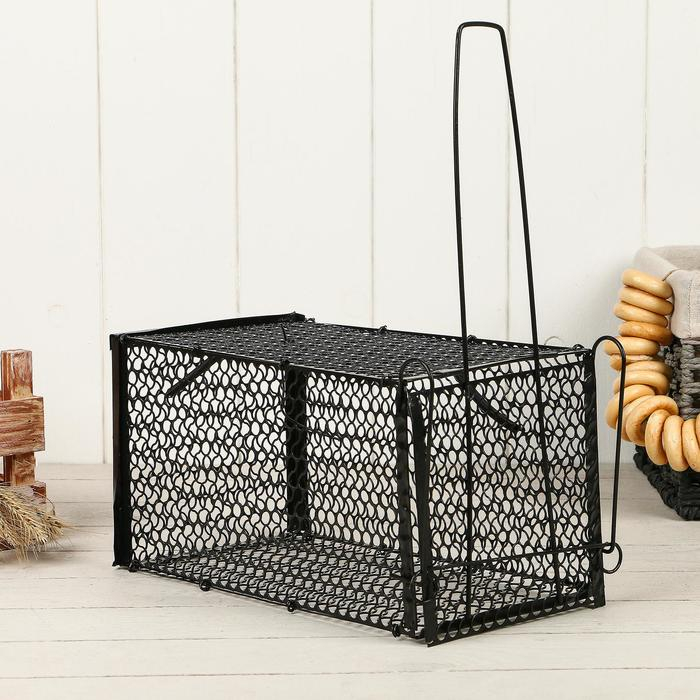 Крысоловка, 27 × 14 × 14 см, металлическая, Greengo Крысоловка, 27 × 14 × 14 см, металлическая, Greengo