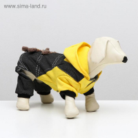 Комбинезон «Мишка», S (ДС 25 см, ОШ 25 см, ОГ 35 см) Комбинезон «Мишка», S (ДС 25 см, ОШ 25 см, ОГ 35 см)