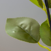 Ночник "Розы" 5хLED 4000К розовый 20х20х50см RISALUX Ночник "Розы" 5хLED 4000К розовый 20х20х50см RISALUX