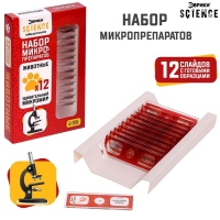 Набор для опытов &laquo;Набор микропрепаратов&raquo;, животные
