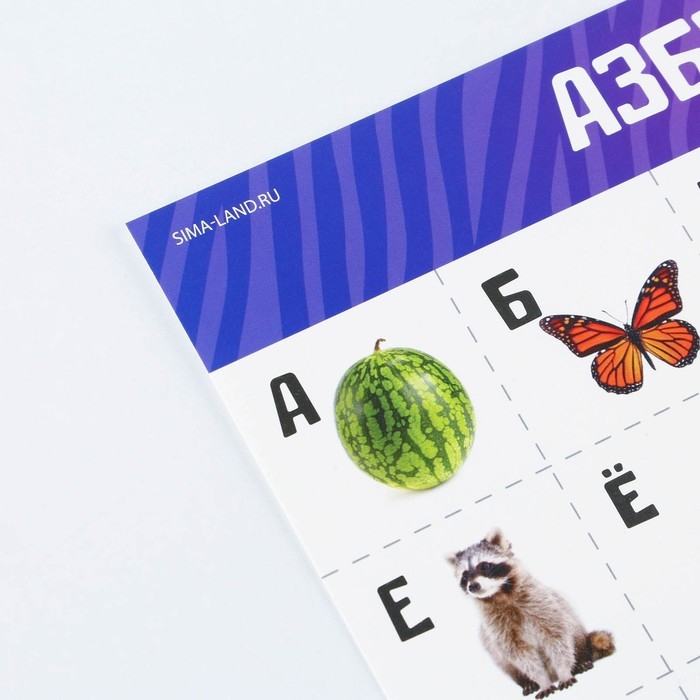 Набор обучающих плакатов &laquo;Изучаем мир&raquo;, 10 в 1, А4