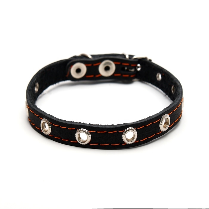 Ошейник кожаный однослойный с рифлеными люверсами, 35х1,2 см, ОШ 10-28 см, безразмерный, микс цветов