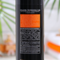 Шампунь-уход для волос PROFESSIONAL CARE &laquo;Объем и блеск&raquo; COLLAGEN, 500 мл