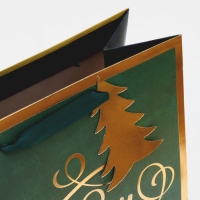 Пакет подарочный новогодний ламинированный &laquo;Сказочного праздника&raquo;, 25,4 х 30,5 х12,7 см, Новый год