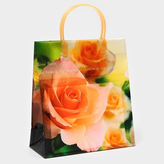 Пакет Пакет "Роза луи де фюнес", мягкий пластик, 26 х 23 см, 100 мкм