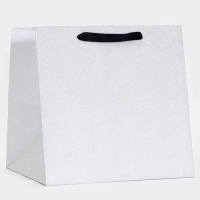 Пакет подарочный новогодний под торт, 30 х 30 х 30 см. Пакет подарочный новогодний под торт, 30 х 30 х 30 см.