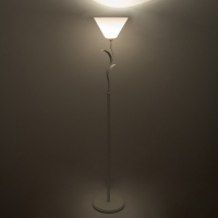 Торшер "Весна" 1х15Вт Е27 МОДЕЛЬ: BR 01012 белый