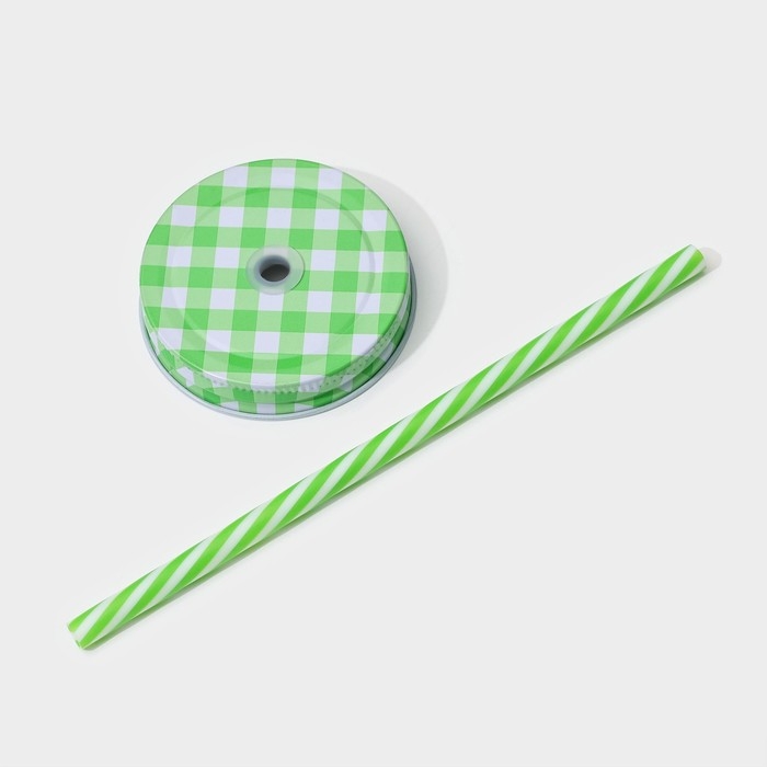 Кружка стеклянная с крышкой и трубочкой Доляна &laquo;Кактус&raquo;, 450 мл, 11&times;7&times;15 см