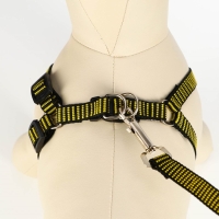 Комплект амуниции рельефный, 1,5 см, шлейка 36-49 см, поводок 120 см, жёлто-чёрный