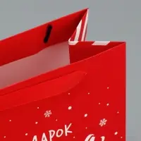 Набор новогодних пакетов &laquo;Новогодний подарок&raquo;